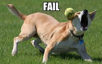 fail_mem